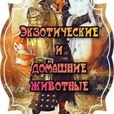 бот