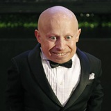 gorky_bot