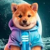 DOGINU AIRDROP
