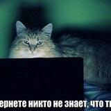 CatGeekBot