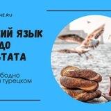 Turk_bot