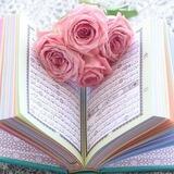القرآن الكريم 🌱