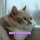 КОТ АДМИНА