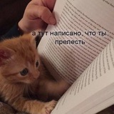 связь с @weakhru