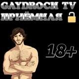 GAYDROCH TV: приёмная (reception)