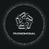 Phenomenal Token