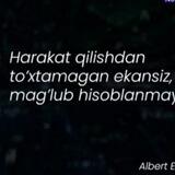 MARDIYEVLAR_ATM_bot