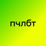 Редакция «Пчелы» (pchela.media)