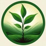 Air Quality Information
