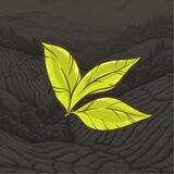 Tea Farm Game 🍃