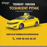 Tashkent pitak