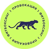 ПРОВОКАЦИЯ | студия фитбоксинга 🥊