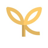 Формула роста