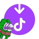 TikTok WebM Downloader