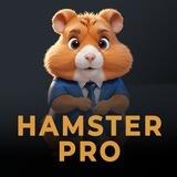 Hamster Pro