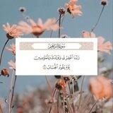 قسم التسجيل