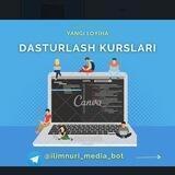 Dasturlash kurslari