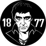 CONTACT 1877