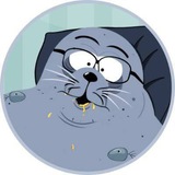Seal