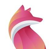 BidFoxAds