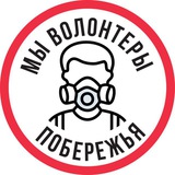 Хочу быть волонтером по спасению птиц