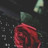 ࢪسَائلڪُم🫂🫀