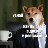 Собака коуча