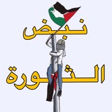 بوت تواصل نبض الثورة 🇵🇸