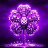 Lucky🍀Web