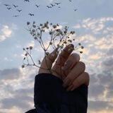 لـِ آمنه