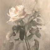 - الأَنْجُمِ الزَّاهِرَةِ .