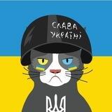 Cat Eyes INFO