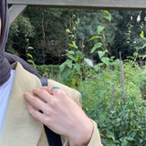 محيط