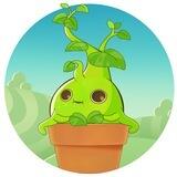 Sunny Plant Airdrop
