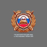 Бот Госавтоинспекции Агрызского района