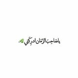 تواصل مع زينب