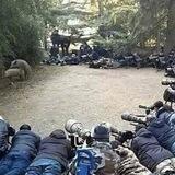 Предложка МДК КРД 🤝