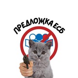 Мемы блин | Предложка