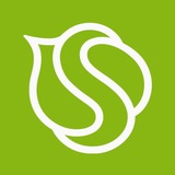 Розыгрыш от SYNERGETIC