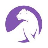 irbis_survey