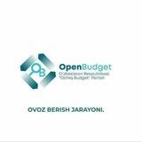 Open Budget