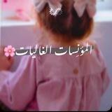 المؤنسات الغاليات🌸🌿