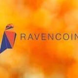 RAVEN AIRDROP BOT