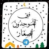 استفسارات فريق الموحدون الصغار