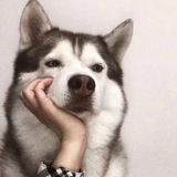 福利助手