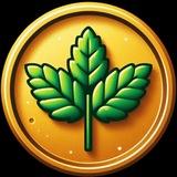 Mintcoin 🍀