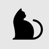 Meow Hub | میو هاب