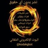 البوت الإلكتروني التلقائي