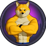 $PDOGE FIGHTER