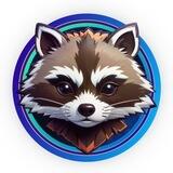 Racoin App